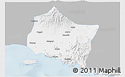 Gray 3D Map of Kab. Jember, single color outside