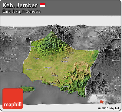 Satellite 3D Map of Kab. Jember, desaturated