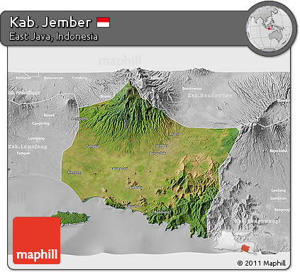 Satellite 3D Map of Kab. Jember, lighten, desaturated