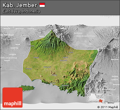 Satellite 3D Map of Kab. Jember, lighten, desaturated