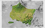 Satellite 3D Map of Kab. Jember, lighten, desaturated