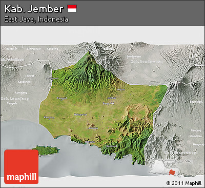 Satellite 3D Map of Kab. Jember, lighten, semi-desaturated