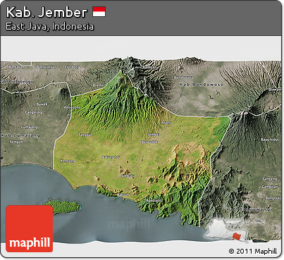 Satellite 3D Map of Kab. Jember, semi-desaturated
