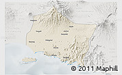 Shaded Relief 3D Map of Kab. Jember, lighten, semi-desaturated