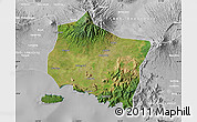 Satellite Map of Kab. Jember, lighten, desaturated