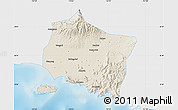 Shaded Relief Map of Kab. Jember, single color outside