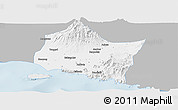 Gray Panoramic Map of Kab. Jember, single color outside