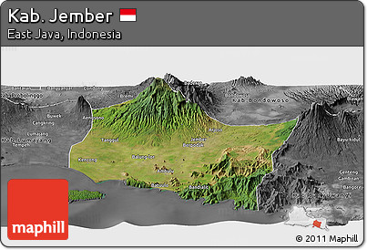 Satellite Panoramic Map of Kab. Jember, desaturated