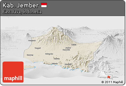 Shaded Relief Panoramic Map of Kab. Jember, lighten, desaturated