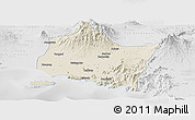 Shaded Relief Panoramic Map of Kab. Jember, lighten, desaturated