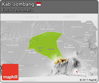 Physical 3D Map of Kab. Jombang, lighten, desaturated