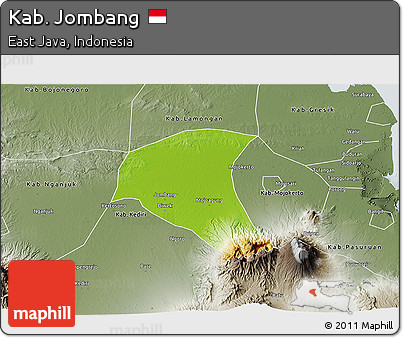 Physical 3D Map of Kab. Jombang, semi-desaturated