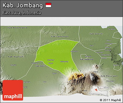 Physical 3D Map of Kab. Jombang, semi-desaturated