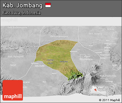 Satellite 3D Map of Kab. Jombang, lighten, desaturated