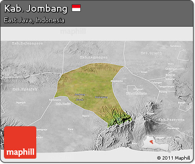 Satellite 3D Map of Kab. Jombang, lighten, desaturated