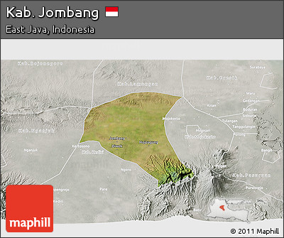 Satellite 3D Map of Kab. Jombang, lighten, semi-desaturated