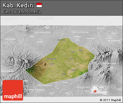 Satellite 3D Map of Kab. Kediri, lighten, desaturated