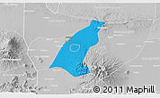 Political 3D Map of Kab. Madiun, lighten, desaturated