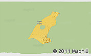 Savanna Style 3D Map of Kab. Madiun, single color outside