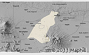 Shaded Relief 3D Map of Kab. Madiun, darken, desaturated