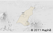 Shaded Relief 3D Map of Kab. Madiun, lighten, desaturated