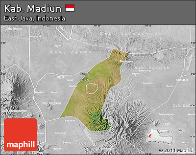 Satellite Map of Kab. Madiun, lighten, desaturated