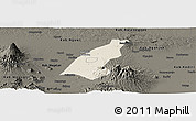 Shaded Relief Panoramic Map of Kab. Madiun, darken