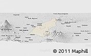 Shaded Relief Panoramic Map of Kab. Madiun, desaturated