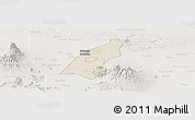Shaded Relief Panoramic Map of Kab. Madiun, lighten