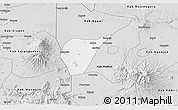 Silver Style 3D Map of Kab. Magetan