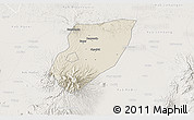 Shaded Relief 3D Map of Kab. Nganjuk, lighten
