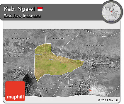 Satellite 3D Map of Kab. Ngawi, desaturated