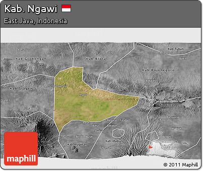 Satellite 3D Map of Kab. Ngawi, desaturated