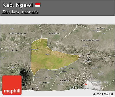 Satellite 3D Map of Kab. Ngawi, semi-desaturated