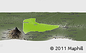 Physical Panoramic Map of Kab. Ngawi, darken, semi-desaturated