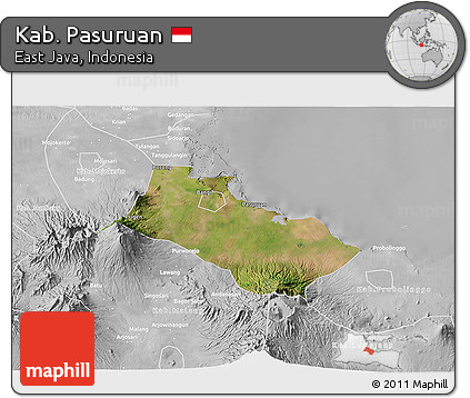 Satellite 3D Map of Kab. Pasuruan, lighten, desaturated