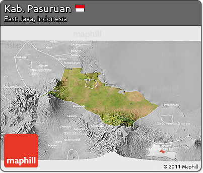 Satellite 3D Map of Kab. Pasuruan, lighten, desaturated