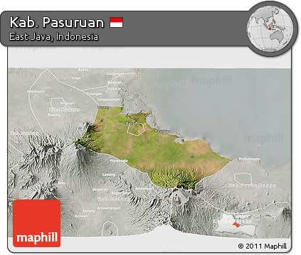 Satellite 3D Map of Kab. Pasuruan, lighten, semi-desaturated