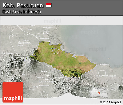 Satellite 3D Map of Kab. Pasuruan, lighten, semi-desaturated