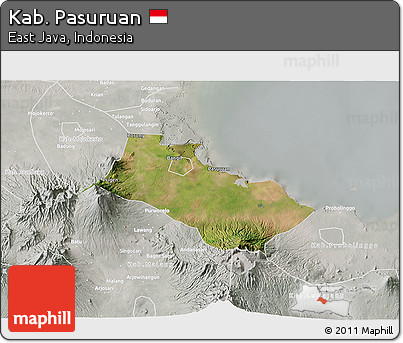 Satellite 3D Map of Kab. Pasuruan, lighten, semi-desaturated