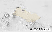 Shaded Relief 3D Map of Kab. Pasuruan, lighten, desaturated