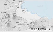 Silver Style 3D Map of Kab. Pasuruan