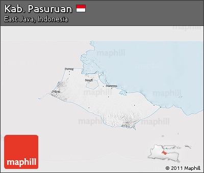 Silver Style 3D Map of Kab. Pasuruan, single color outside