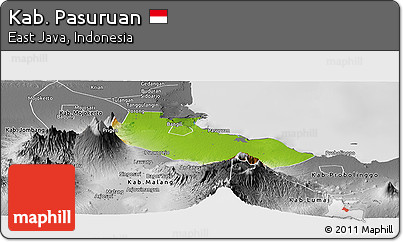 Physical Panoramic Map of Kab. Pasuruan, desaturated