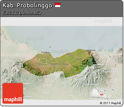 Satellite 3D Map of Kab. Probolinggo, lighten