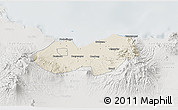 Shaded Relief 3D Map of Kab. Probolinggo, lighten, semi-desaturated