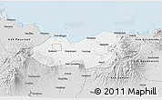 Silver Style 3D Map of Kab. Probolinggo