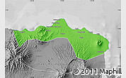 Political Map of Kab. Situbondo, desaturated