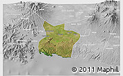 Satellite 3D Map of Kab. Tulungagung, lighten, desaturated