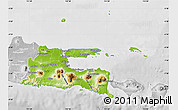 Physical Map of East Java, lighten, desaturated
